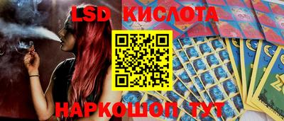 a pvp Бердск