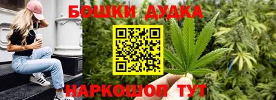 a pvp Бердск