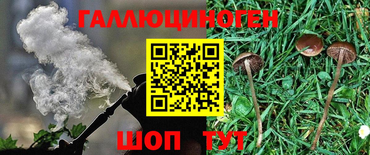 Отрадный  Галлюциногенные грибы мицелий  Вход с VPN 